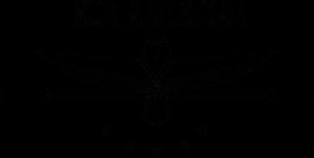 Omega Beast Gym and Barbell Storage Rack